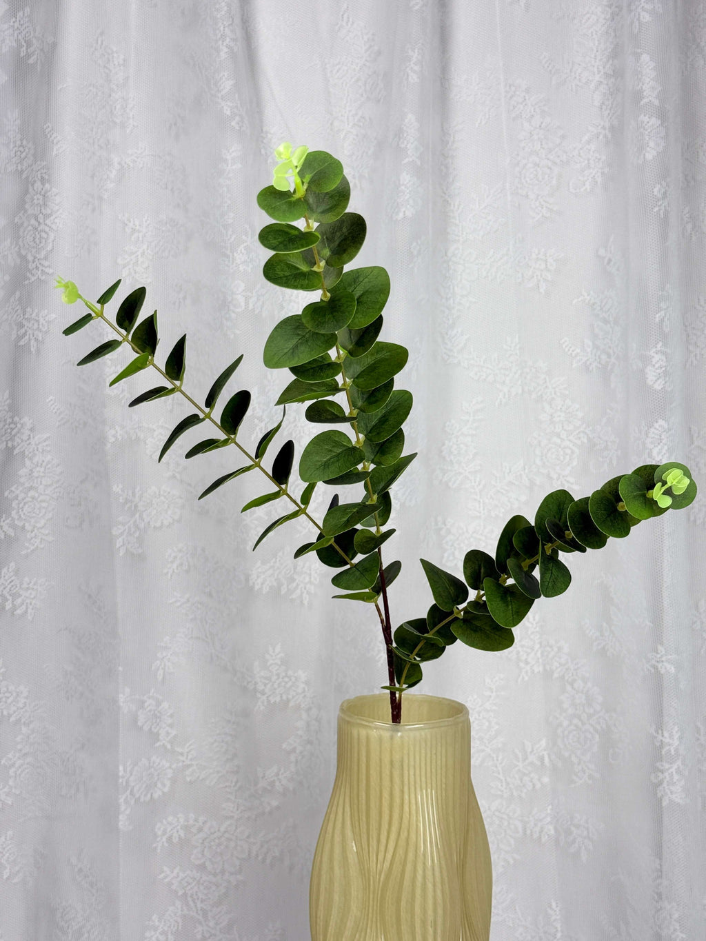 Eukalyptus - Fleuristic